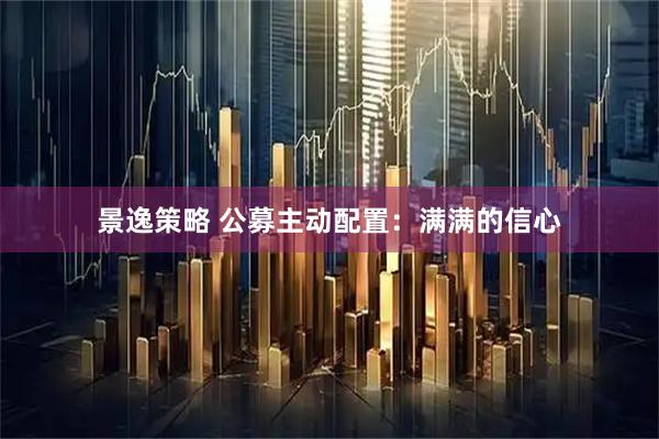 景逸策略 公募主动配置：满满的信心