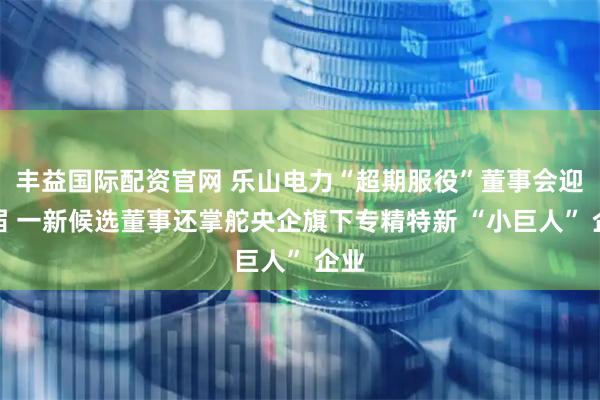 丰益国际配资官网 乐山电力“超期服役”董事会迎换届 一新候选董事还掌舵央企旗下专精特新 “小巨人” 企业