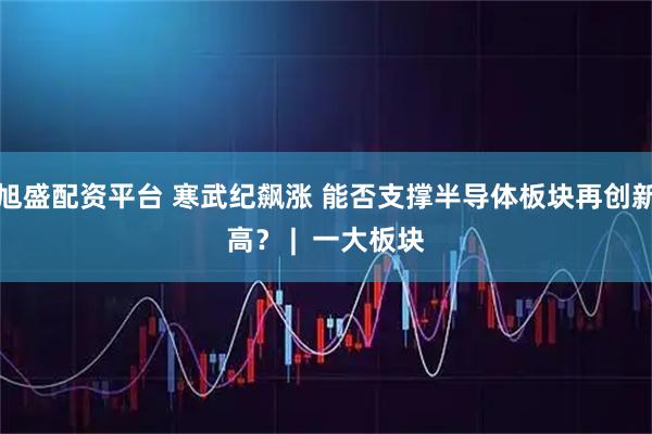 旭盛配资平台 寒武纪飙涨 能否支撑半导体板块再创新高？ |  一大板块
